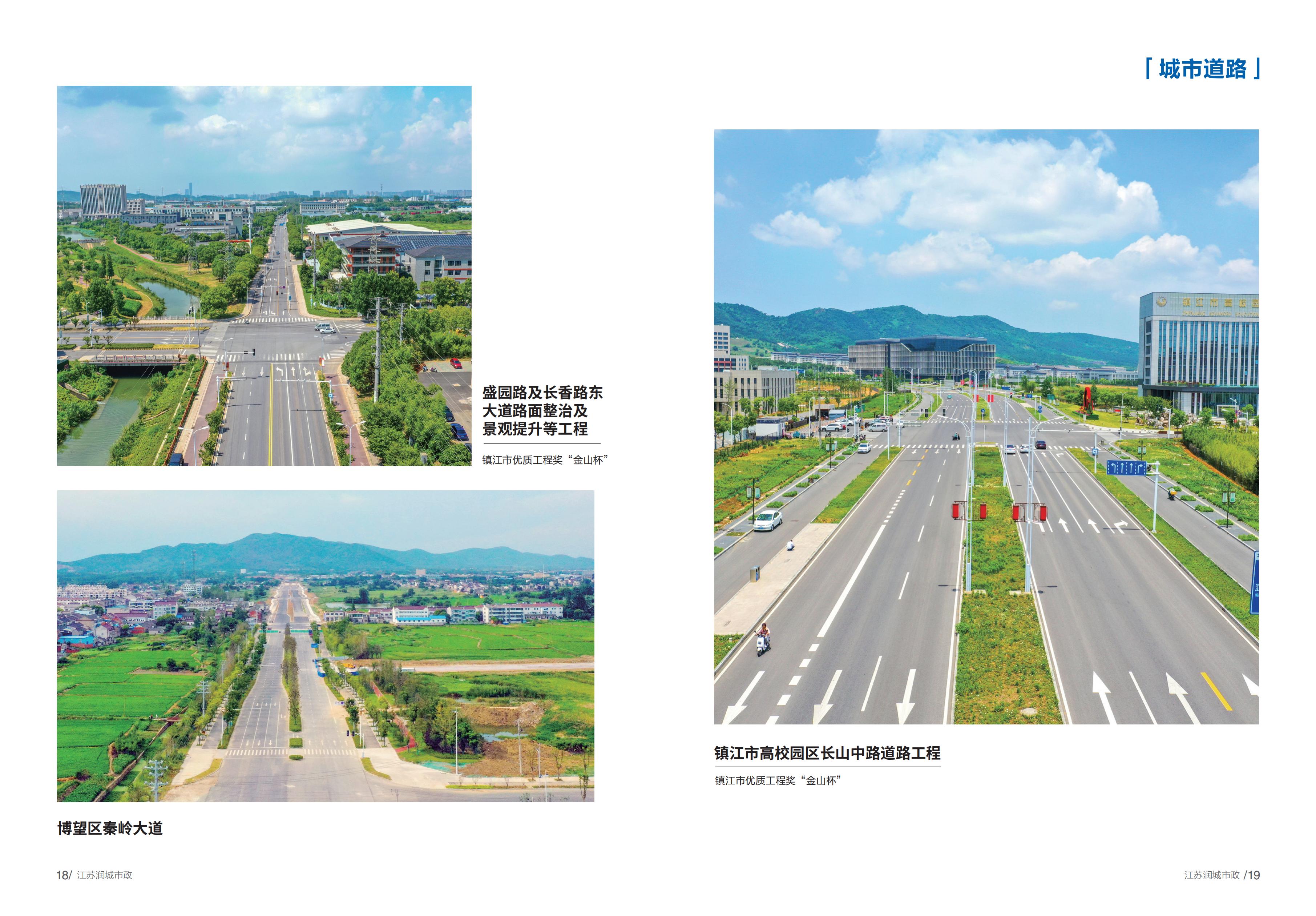 盛园路及长香路东大道路面整治及景观提升等工程