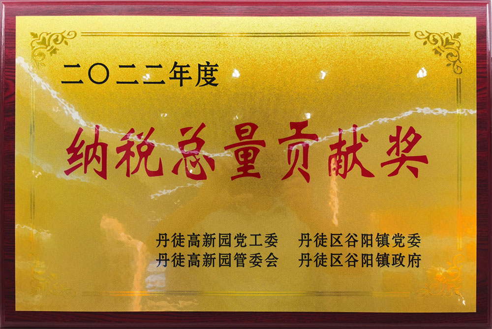 2022年纳税总量贡献奖